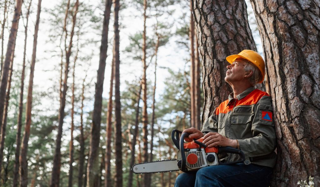 Outdoor shot of logger having rest in open air after cutting trees, sitting near tree with chainsaw and looking at beautiful nature, logging and deforestation.